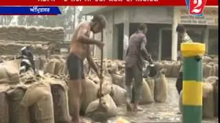 wheat damage, amritsar