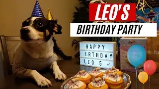 My Dog's EPIC Birthday Party!!!! | Leo's 5th Birthday Party Celebration