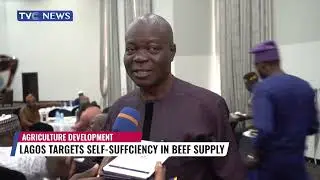 Lagos Target Self Sufficiency In Beef Supply