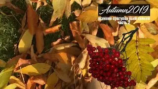 Autumn2019. Осенние очерки.