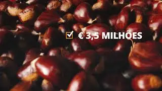 Vídeo Promocional de Sernancelhe