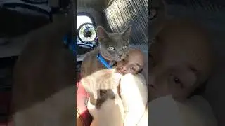 Baby Zooma Can hear momma but doesn't see her yet