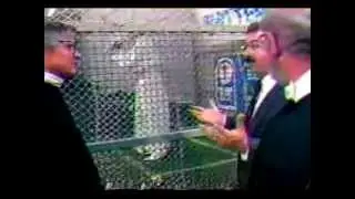 Pope John Paul II - Batting practice