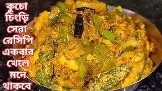 কুচো চিংড়ি এভাবে রান্না করলে সবচেয়ে বেশি টেস্টি হবে | Kucho Chingrir chorchri Recipe