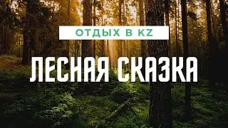 Лесная сказка / Доступный отдых в Казахстане