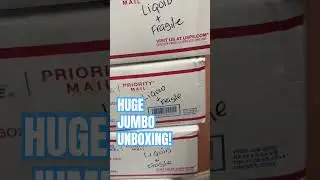 HUGE LIVE FISH UNBOXING #newfish #guppy #aquariumfish #aquarium #aquariumfun #pleco #tropicalfish