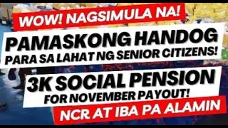 WOW NAGSIMULA NA! PAMASKONG HANDOG SA MGA SENIORS PLUS NOVEMBER PAYOUT NG SOCIAL PENSION! NCR ATBP!