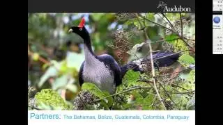 Flyway Expeditions: Audubon&rsquo;s Bird-based Tourism Initiative Takes Flight