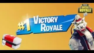 (Highlight) Fortnite Health Stall Win