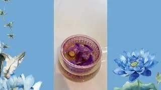 How to make Blue Lotus Tea.