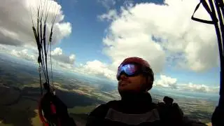Полет 24082014 (птичка)