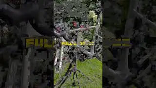 V&eacute;lo performant et pas cher !