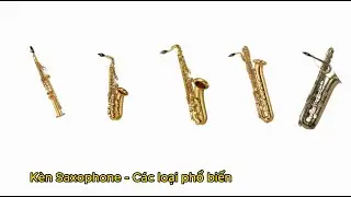 Kèn Saxophone - Các loại kèn Saxophone phổ biến