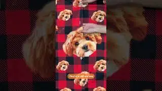 Personalized Dog Pace With Colorful Background - Christmas Gift For Dog Lovers, Dad, Mom 889700