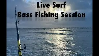 SouthCoastBassSmash is live! A morning Surf Bass fishing Session! #fishing #live #viral