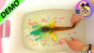 GINORMOUS GROW CROCODILE takes an ORBEEZ BATH (Part 3) | Growing Pet