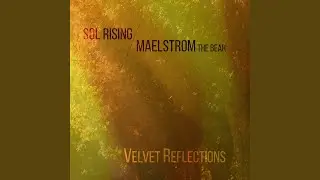 Velvet Reflections