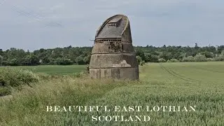 Relaxing Dog Walk in East Lothian, Scotland