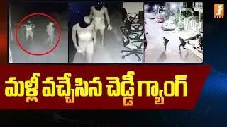 Cheddi Gang is back | Cheddi Gang Hul-Chal | Inews