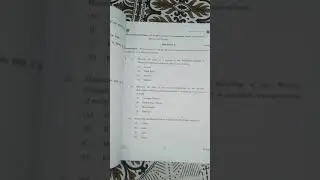 CBSE CLASS 12 PAINTING board paper 2019-20