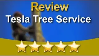 Tesla Tree Service Reviews - Five Stars for Tree Service in Pitman, NJ