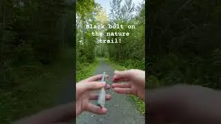 This might be my lucky spot #pokemon #pokemontcg #godpack #blackbolt #whiteflare #nature #shorts