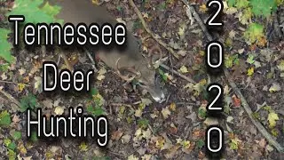 Tennessee Deer Hunting 2020 : October Action!!