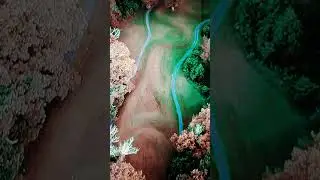 The Serpent Mound & A Cosmic Connection... #shorts #earthworks #solstice
