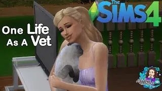 One Life, One Legacy | A Sims 4 Vet&rsquo;s Story