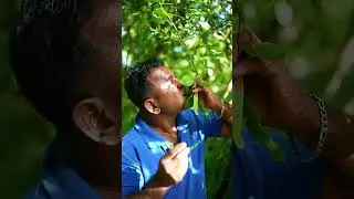No music, just natural ASMR 🤍
