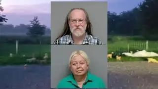 Man avoids jail in animal cruelty case connected to abandoned dogs at Belvidere dog park