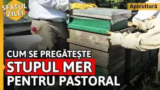 Cum se PREGĂTEȘTE STUPUL MER pentru pastoral [Sfatul zilei]