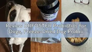 Review DRFOSTER Probiotics for Dogs, Freeze-Dried Dog Probiotics and Digestive Enzymes, Plus Omega-3