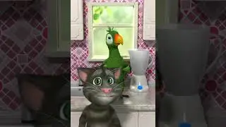 Talking Pierre the Parrot 