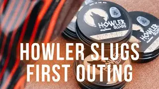 Howler Slugs from Daystate first Outing
