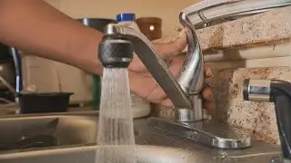 Environmental activists push for legislative action
