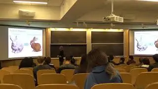Introduction to Computer Graphics (fall 2018), Lecture 14:  Texture maps
