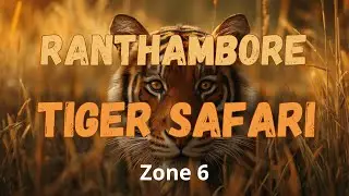 How to Book Ranthambore Safari | Ranthambore Tiger Reserve | 4K | क्या आपको दिखेगा बाघ? Dharmesh YT