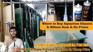 Where to get Aquarium glass - Glass & Silicon gum for Flowerhorn & Betta fishtank