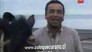 Frutos del Pais en Cobquecura 4