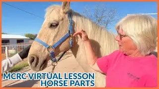 MCRC Virtual Lesson - Horse Parts