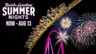 Busch Gardens&reg; Summer Nights |  Busch Gardens Williamsburg VA