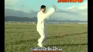 Xingyi Shi Er Xing (12 Animal Boxing). Master Di Guo-Yong.(240p_H.264-AAC)