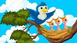 Wer wohnt wo? 🏠🐻 | Kinderlied &uuml;ber Tiere und ihr Zuhause | Tiere |  Lernlied f&uuml;r Kinder