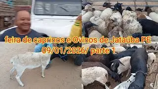 Feira de caprinos e Ovinos de Jata&uacute;ba PE 09/01/2026/ parte 1