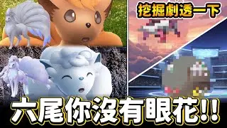 ２月社群日確定!你沒有眼花就是六尾&內鬼挖掘劇透一下!!【精靈寶可夢GO】