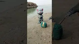 Rc cat toy testing