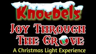 Joy Through the Grove 2020