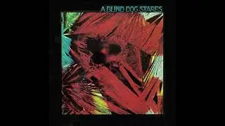 A Blind Dog Stares - A Blind Dog Stares (1981) Post Punk - USA