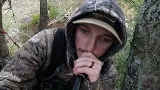 Iowa union county rut hunt. ( Aaron Jones)